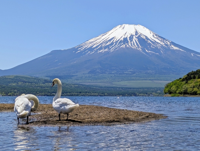 山中湖